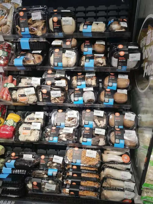 洞见市场趋势，陈亮嘴深度调研奥吉特公司的战略启示